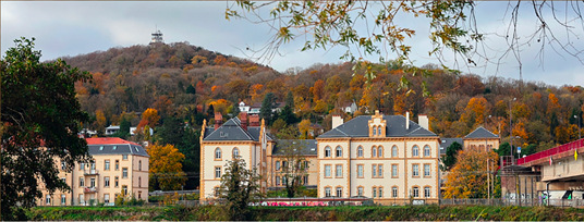 Nature au Ban-Saint-Martin - Mont Saint-Quentin, faune locale