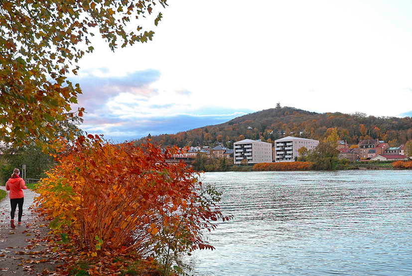 Vue aérienne du Ban-Saint-Martin